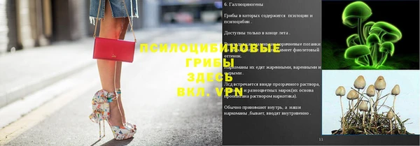 мяу мяу мука Арсеньев