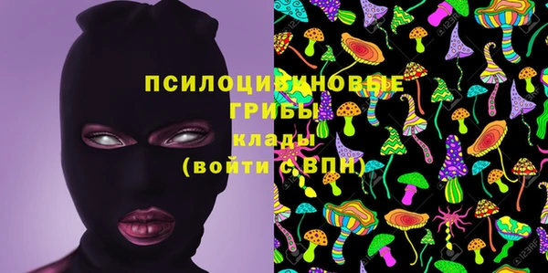 мяу мяу мука Арсеньев
