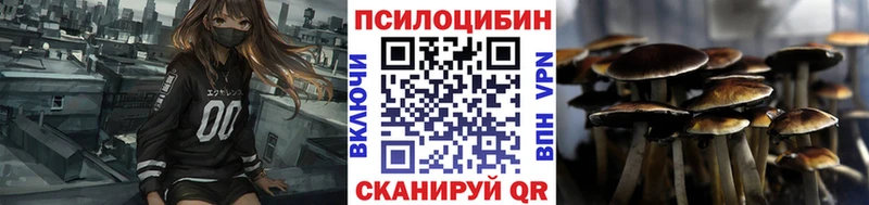 Псилоцибиновые грибы прущие грибы  Купить  Хабаровск 